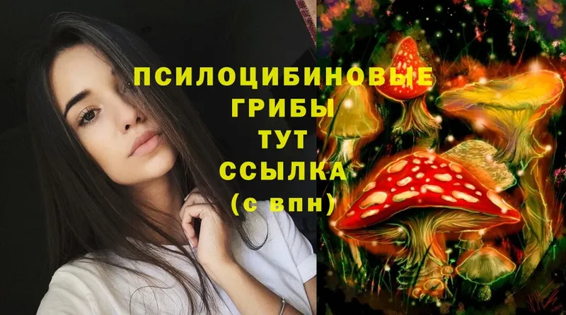 darknet формула  Артёмовск  Псилоцибиновые грибы MAGIC MUSHROOMS 